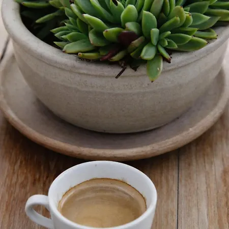 Aparthotel Ikastikies 4*