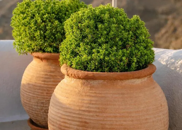 Ikastikies Hotel apartamentowy Fira (Santorini)