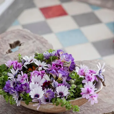 Lejlighedshotel Ikastikies 4*